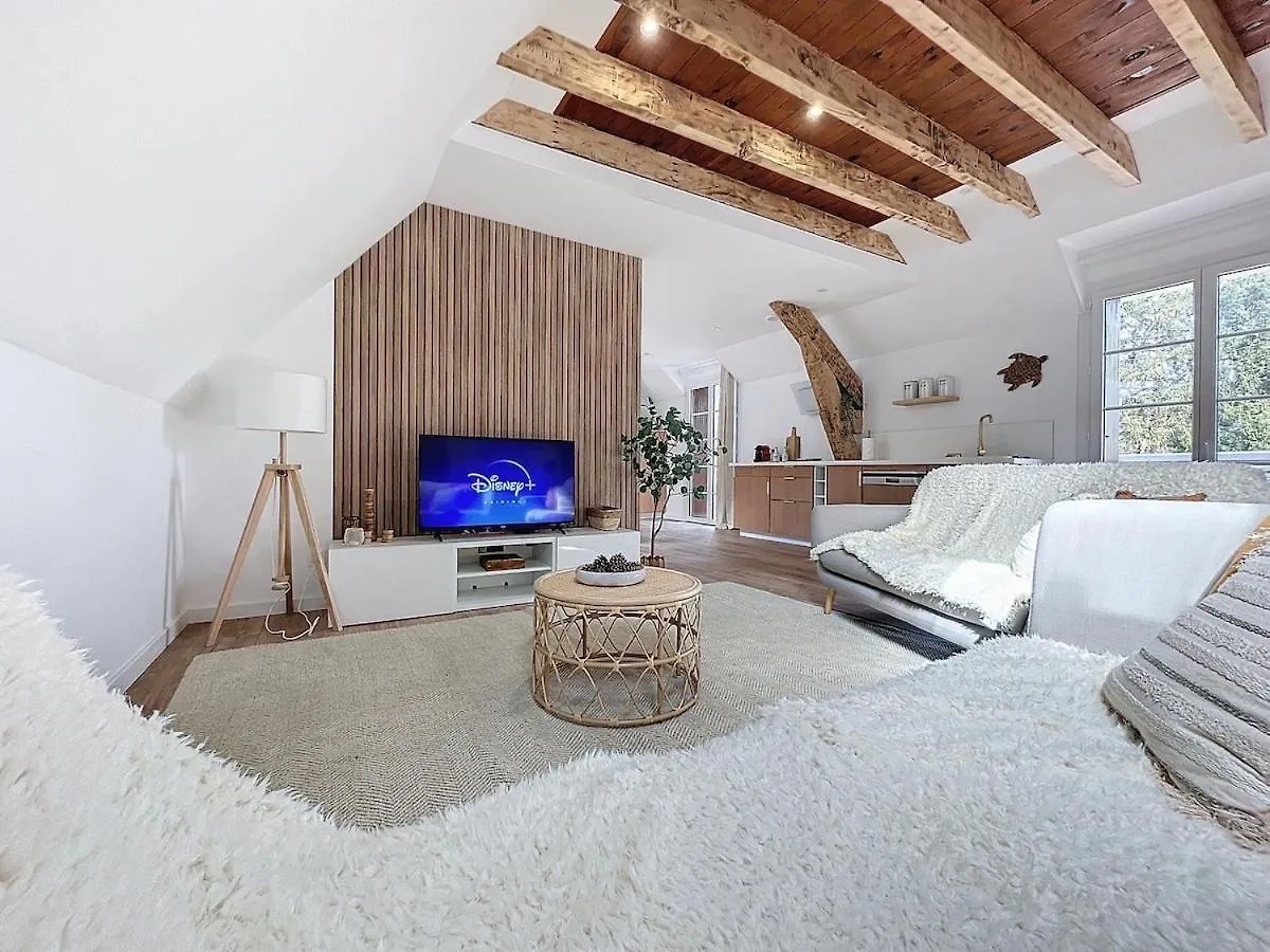 Apartmán Parenthese Le Pic Du Midi - 110M² Bagnères-de-Bigorre 0*,