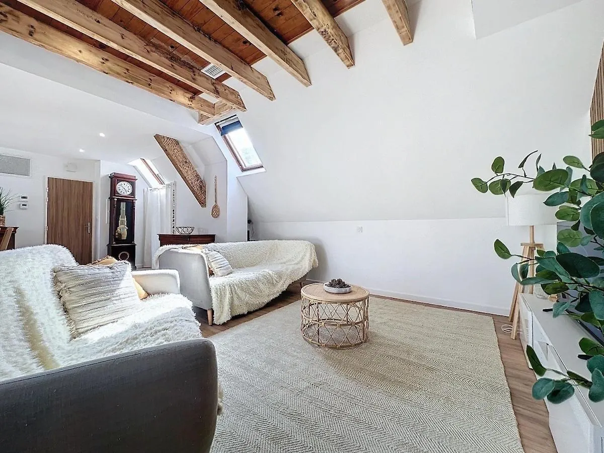 Apartmán Parenthese Le Pic Du Midi - 110M² Bagnères-de-Bigorre
